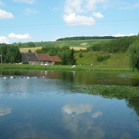 Domaine Du Moulin De L'Etang Bed and Breakfast Châtillon-sur-Marne Exteriör bild