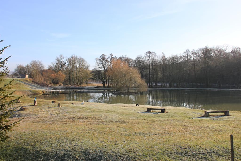 Domaine Du Moulin De L'Etang Bed and Breakfast Châtillon-sur-Marne Exteriör bild