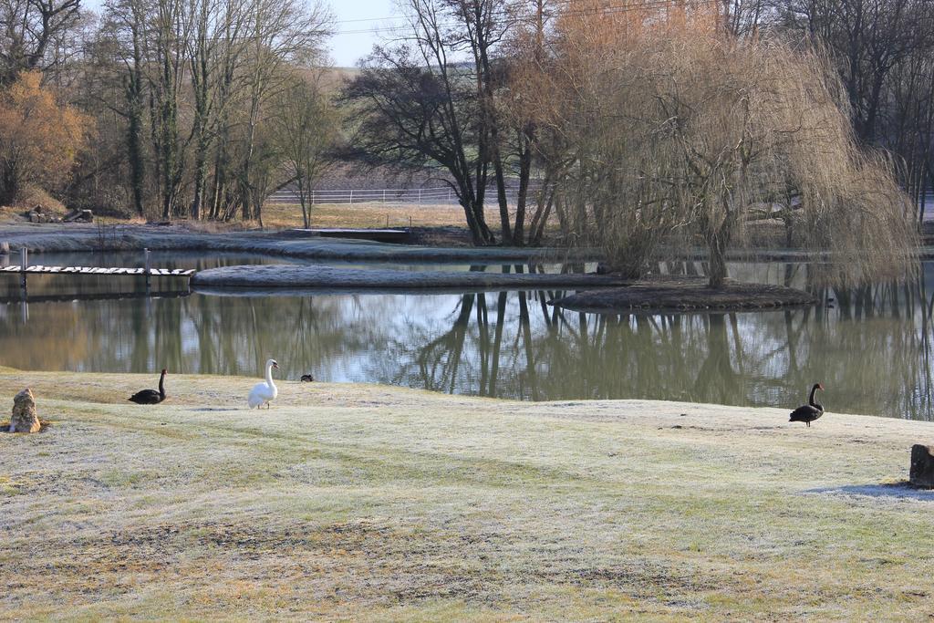 Domaine Du Moulin De L'Etang Bed and Breakfast Châtillon-sur-Marne Exteriör bild