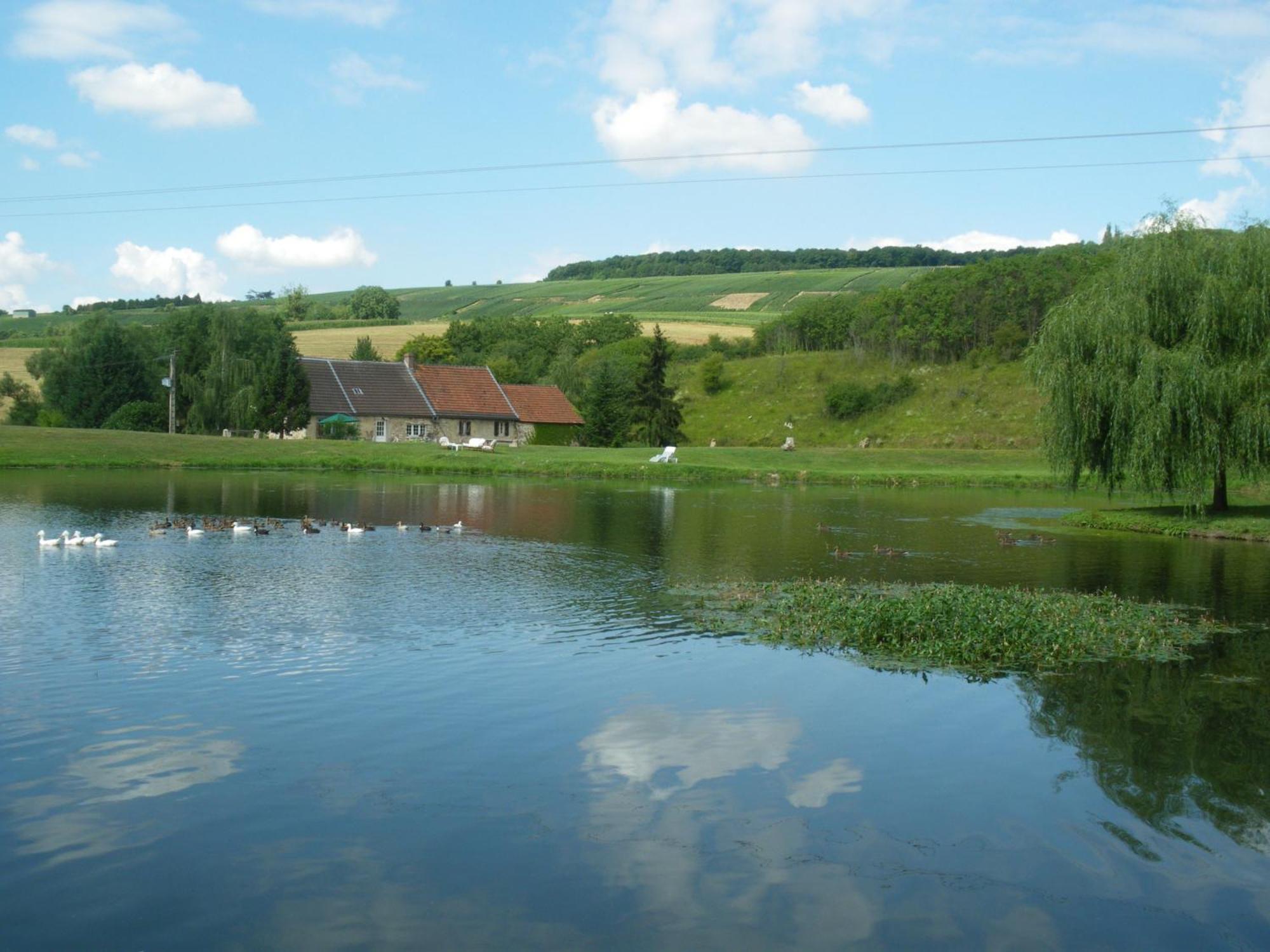 Domaine Du Moulin De L'Etang Bed and Breakfast Châtillon-sur-Marne Exteriör bild