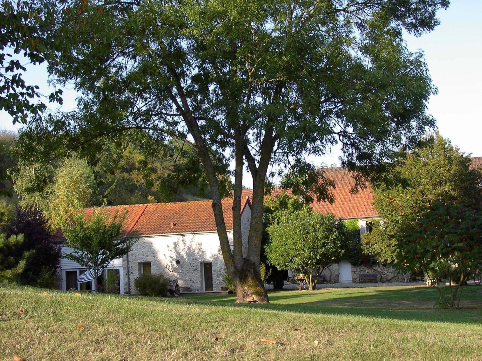 Domaine Du Moulin De L'Etang Bed and Breakfast Châtillon-sur-Marne Exteriör bild