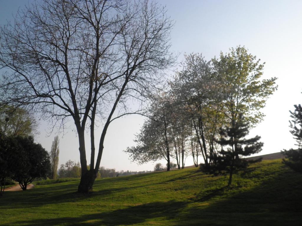 Domaine Du Moulin De L'Etang Bed and Breakfast Châtillon-sur-Marne Rum bild