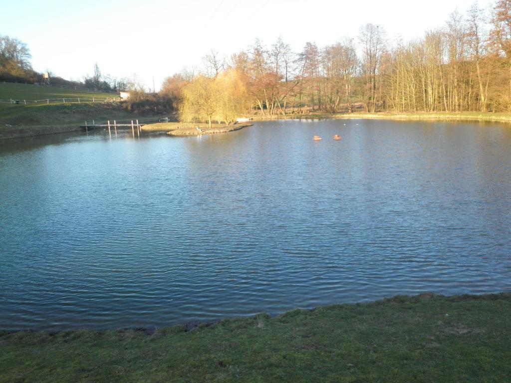 Domaine Du Moulin De L'Etang Bed and Breakfast Châtillon-sur-Marne Exteriör bild