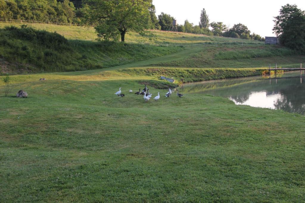 Domaine Du Moulin De L'Etang Bed and Breakfast Châtillon-sur-Marne Exteriör bild